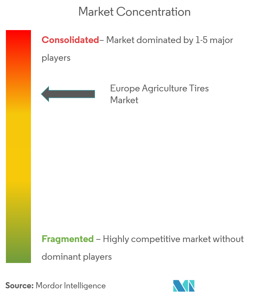 Europe Agricultural Tires Market Concentration